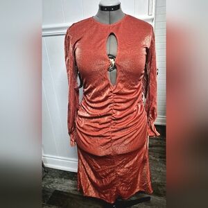 NWT Free People Selva Negra Shiny Rust Long Sleeve Dress XL